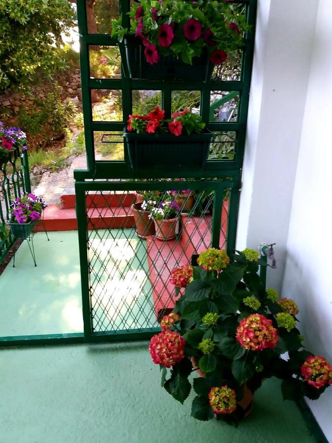 Apartman Kristin Podaca Dış mekan fotoğraf