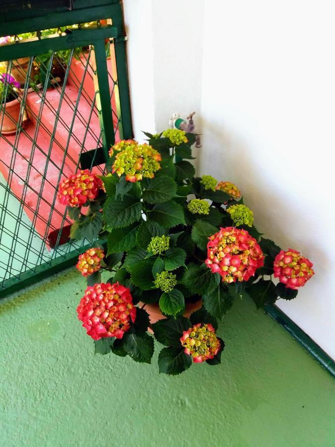 Apartman Kristin Podaca Dış mekan fotoğraf